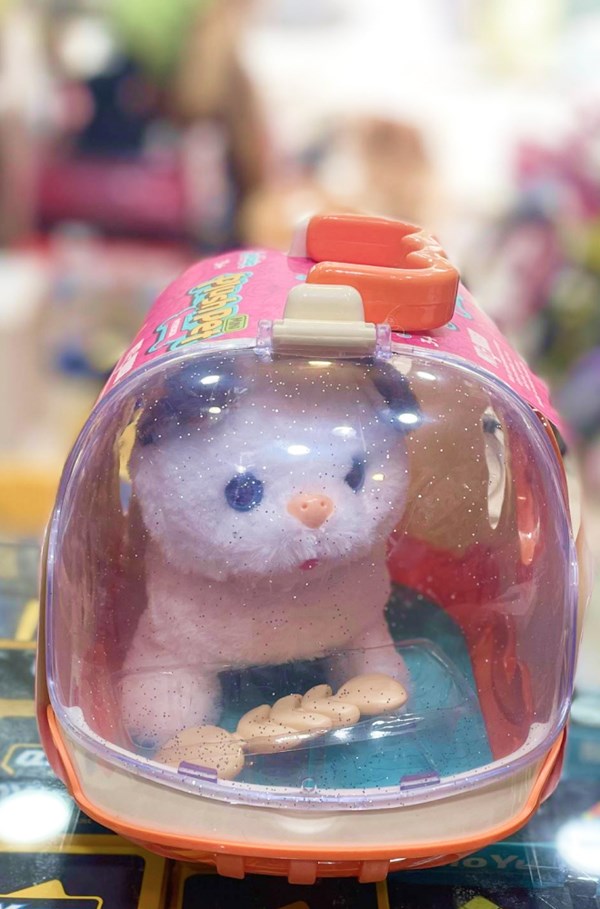 گربه خانگی به همراه قفس و وسایل آرایشی رنگ سفید قهوه ای کد 1062_اسباب بازی