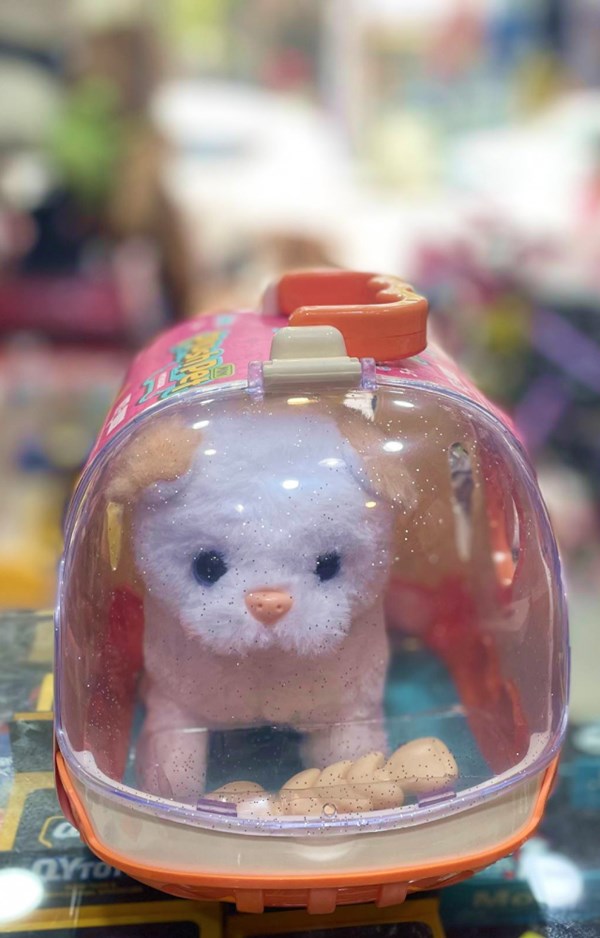 گربه خانگی به همراه قفس و وسایل آرایشی رنگ سفید کرم کد 1062_اسباب بازی