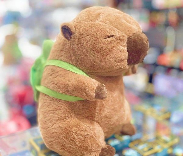 عروسک پولیشی اورجینال کاپی بارا 36 سانتی با کیف لاکپشت_اسباب بازی