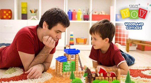 اسباب بازی ساختنی کلبه جنگلی 177 تکه تک توی TAKTOY_اسباب بازی