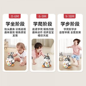 اسباب بازی خرگوش موزیکال هولی تویز مدل HE9991 Dancing Bunny HOLA TOYS_اسباب بازی