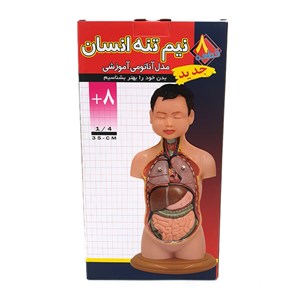 مولاژ نیم تنه انسان مدل عروسکی 8 قسمتی_اسباب بازی