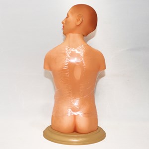 مولاژ نیم تنه انسان 10 قسمتی مقیاس 1:4_اسباب بازی