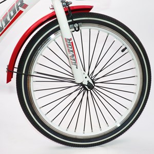 دوچرخه اورجینال کودک سایز 20 طرح دختر کفشدوزکی و گربه سیاه مدل جونیور JUNIOR_اسباب بازی