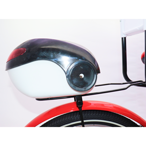 دوچرخه اورجینال کودک سایز 20 طرح دختر کفشدوزکی و گربه سیاه مدل جونیور JUNIOR_اسباب بازی