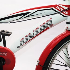 دوچرخه اورجینال کودک سایز 20 طرح دختر کفشدوزکی و گربه سیاه مدل جونیور JUNIOR_اسباب بازی