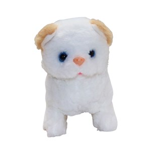 گربه خانگی به همراه قفس و وسایل آرایشی رنگ سفید کرم کد 1062_اسباب بازی