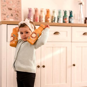 قمقمه تک جداره طرح شیر ساسی Sassi
