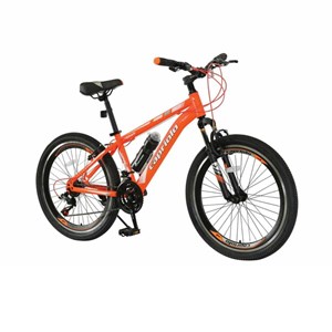 دوچرخه 24 کوهستان کاپریولو مدل JORDAN کد 24635